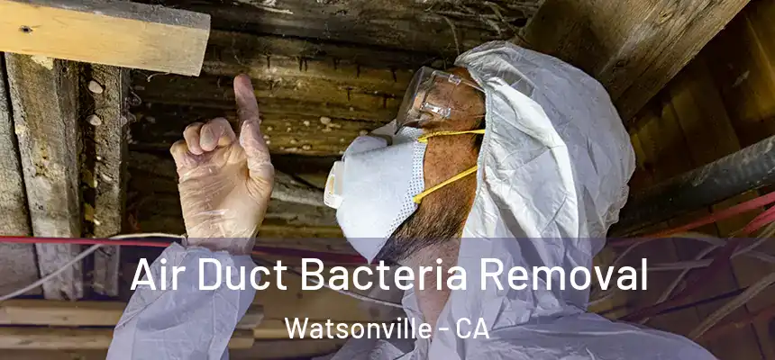  Air Duct Bacteria Removal Watsonville - CA