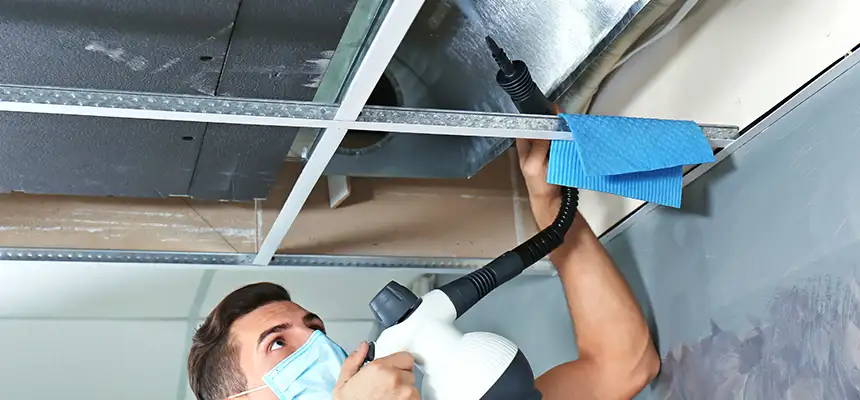 Our Air Duct Rodent Removal Services in Watsonville, CA