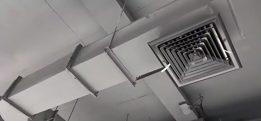 Our Pest Removal From Ducts Services in Watsonville, CA