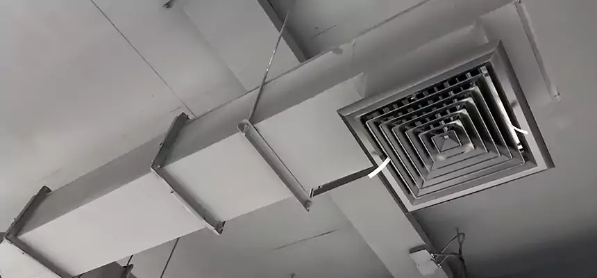 Our Rodent Droppings In Vents Services in Watsonville, CA