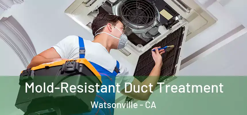  Mold-Resistant Duct Treatment Watsonville - CA