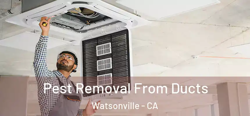 Pest Removal From Ducts Watsonville - CA