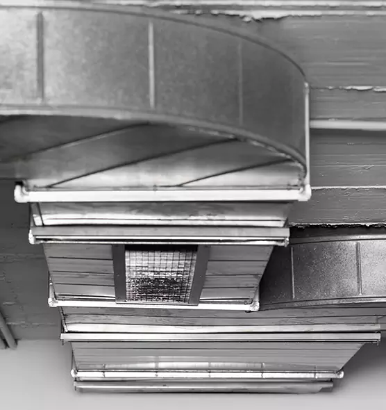 Professional Air Duct Pest Removal in Watsonville, CA