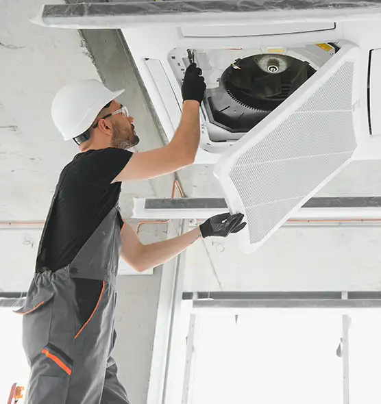 About Air Duct Rodent Removal in Watsonville, CA