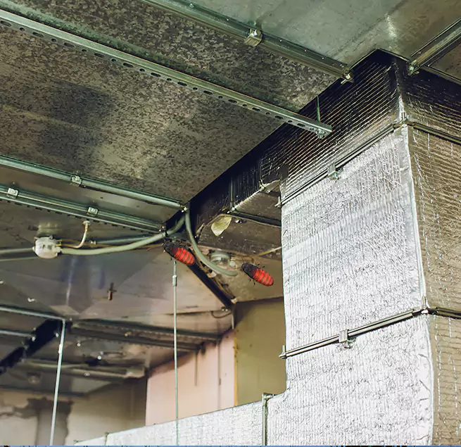 Why Homeowners & Businesses Trust Us in Watsonville, CA?