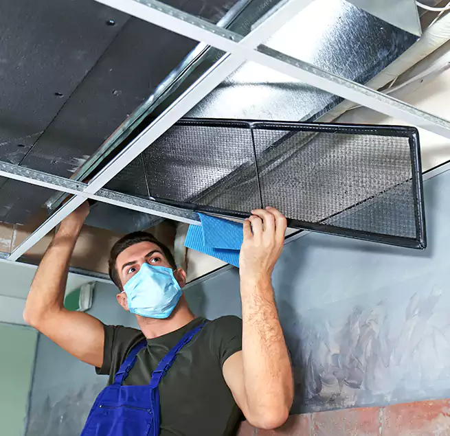 Why Homeowners Businesses Trust Us in Watsonville, CA