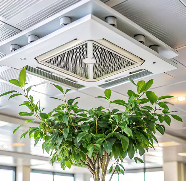 Why Homeowners & Businesses Trust Us in Watsonville, CA?